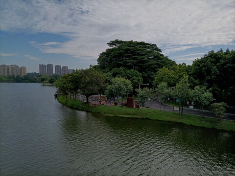 湖邊