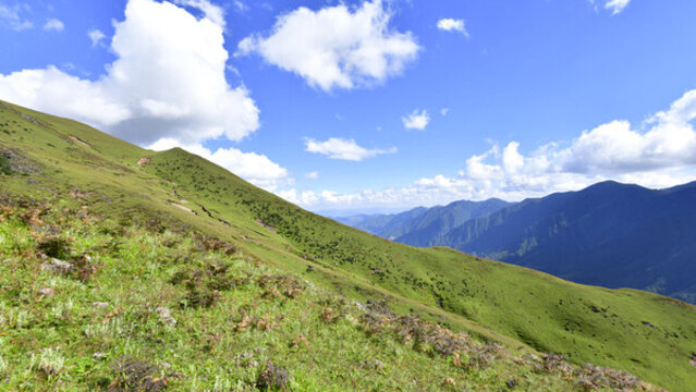 東川雪嶺