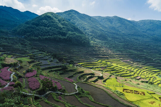 覆卮山梯田