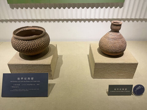 指甲紋