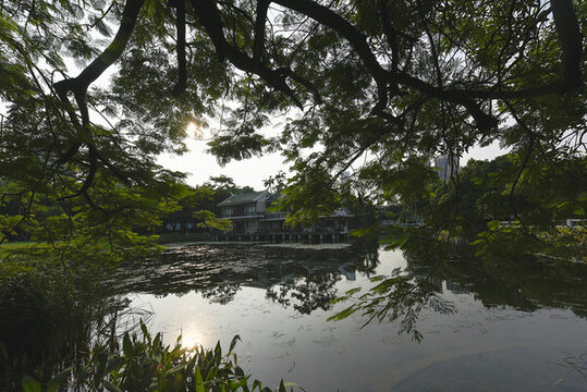廈門中山公園風光