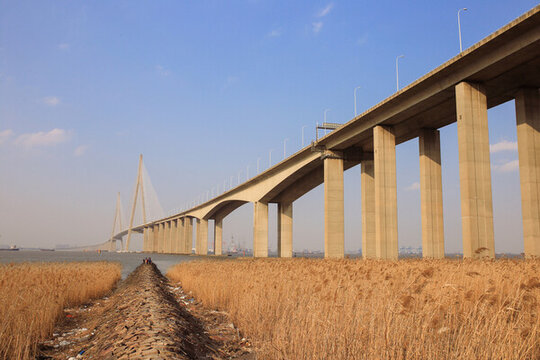 蘇通長江大橋