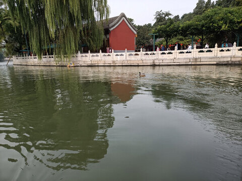 北海公園