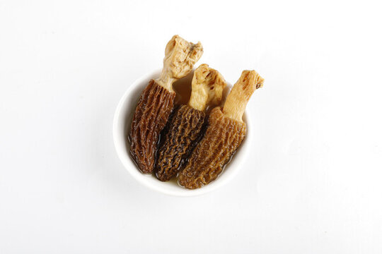 山珍菌湯食材優(yōu)質(zhì)羊肚菌