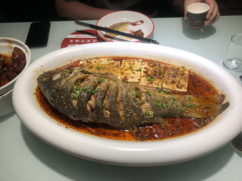 紅燒魚