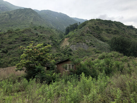 高山云霧
