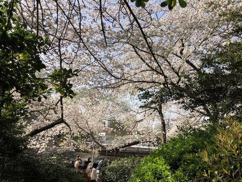 春暖花開