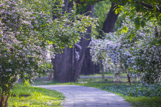 花園