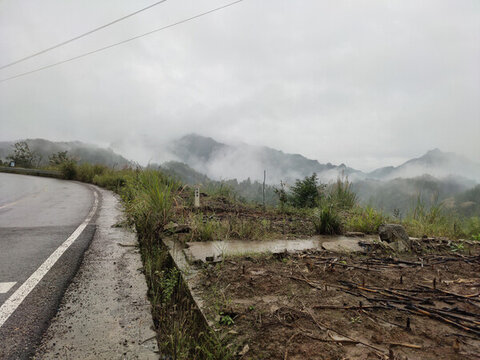 雨后的莊稼地