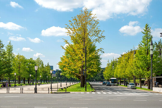 東京皇居外苑