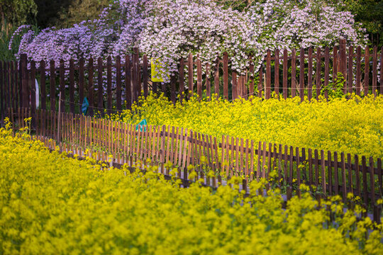 花墻