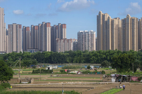 城市邊的田地