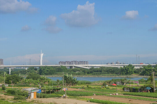 大橋和田園風(fēng)景