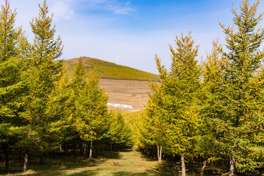 張北草原天路樺皮嶺的秋季美景