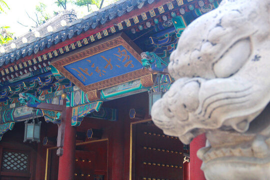 北京大學(xué)