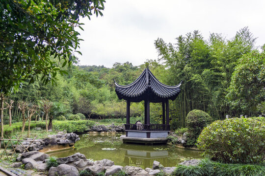 滁州瑯琊山景區(qū)野芳園晨曦堂