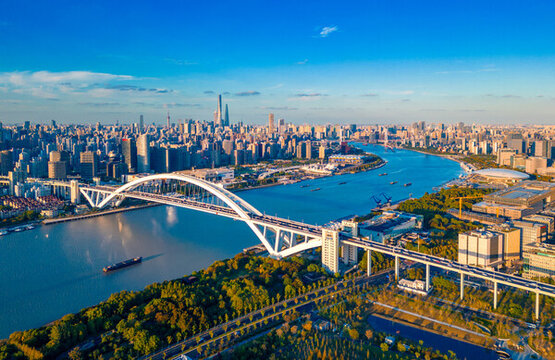 上海市盧浦大橋