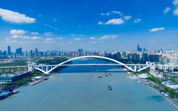 上海市盧浦大橋