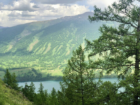 喀納斯風景