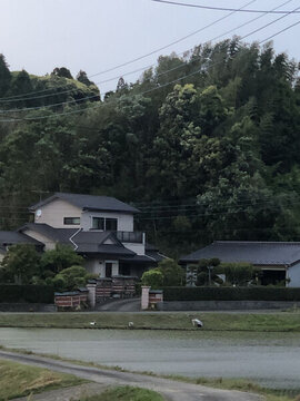日本一戶建