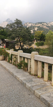 石橋