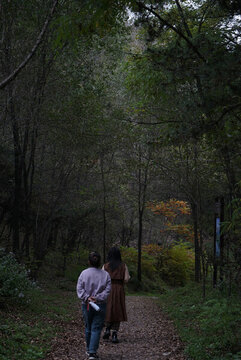 龍城森林公園