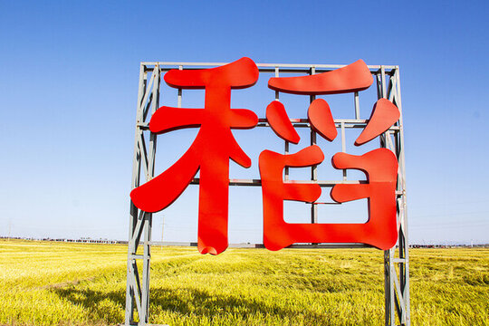 稻谷飄香喜豐收