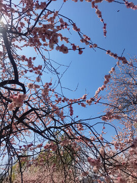 玉淵潭