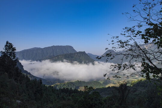 云霧山林山景