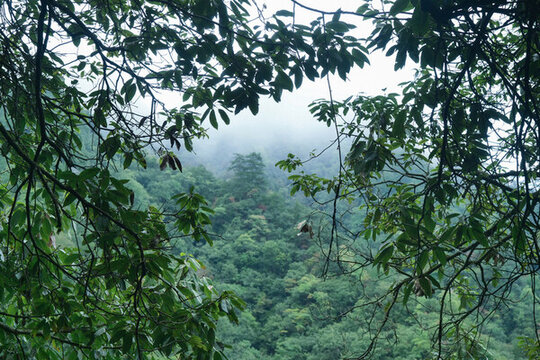 光霧山