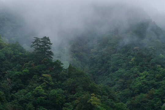 光霧山