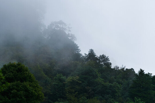 光霧山