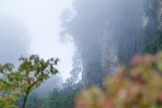 光霧山