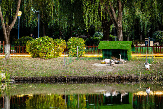中國(guó)長(zhǎng)春百花園風(fēng)景