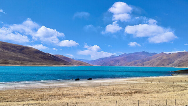 羊卓雍措風(fēng)景