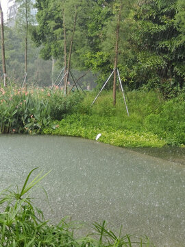 下雨时的深圳洪湖公园