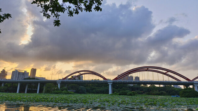 深圳洪湖公園芙蓉橋