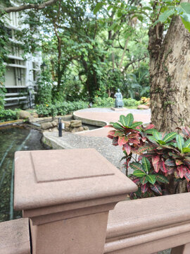 香港大學(xué)
