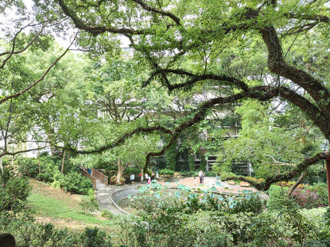 香港大學(xué)