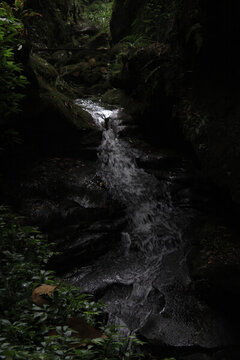 山澗溪流