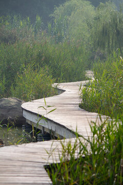 公園棧道