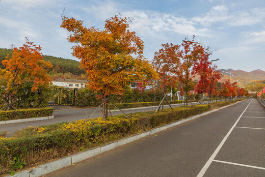 吉林市朱雀山楓葉景觀