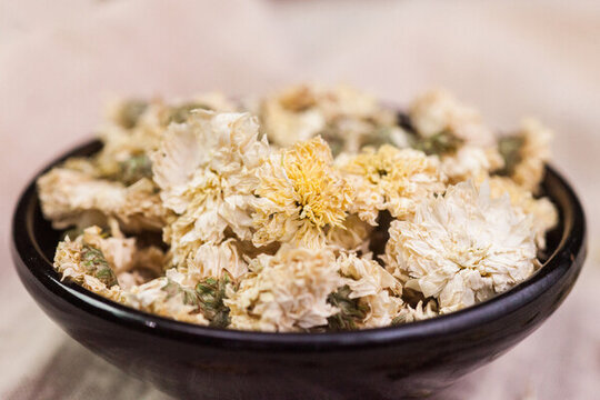 貢菊胎菊?qǐng)D片拍照