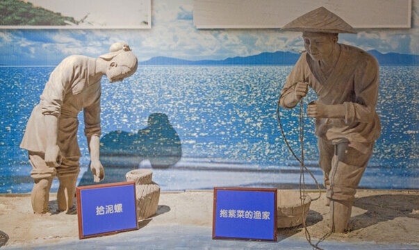 石浦漁港漁家拖紫菜拾泥螺