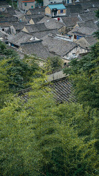 寧波東錢湖院士公園村落