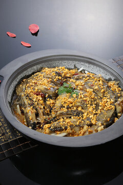 無(wú)水碟魚(yú)頭