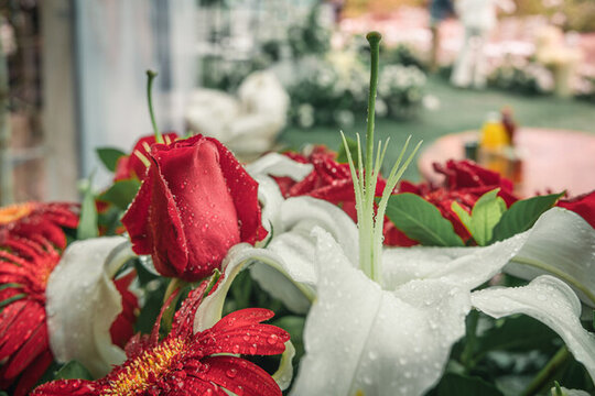 鮮花