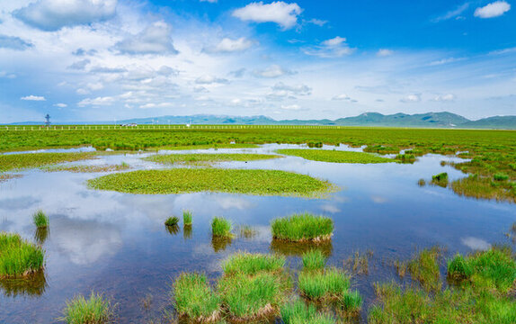 花湖濕地