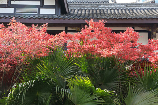 園林景觀