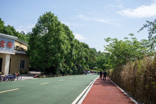 重慶銅梁玄天湖步道